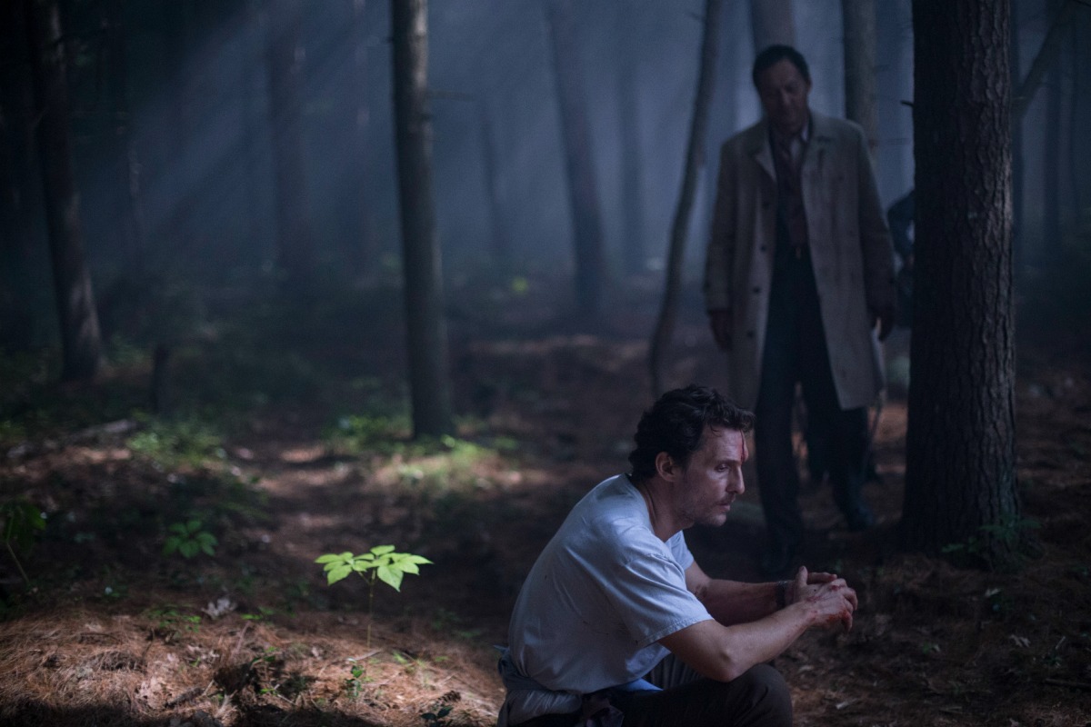 la foresta dei sogni film