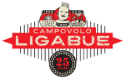 Ligabue campovolo la festa 2015