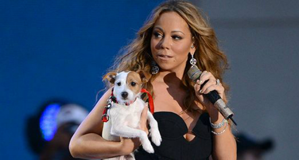 Mariah-Carey-Jack-Russell