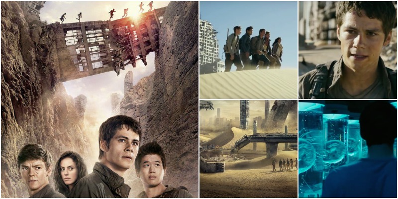 Maze runner trama