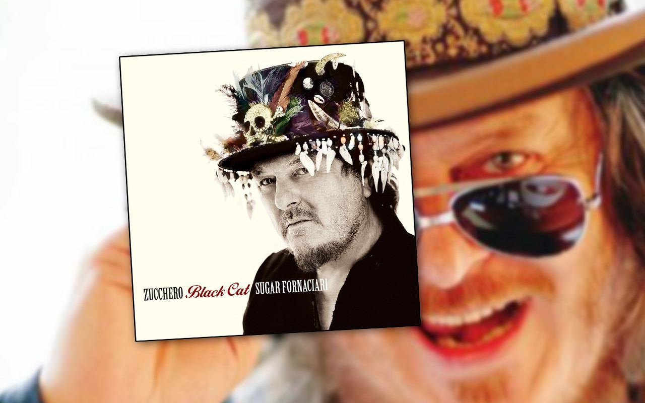 black cat zucchero