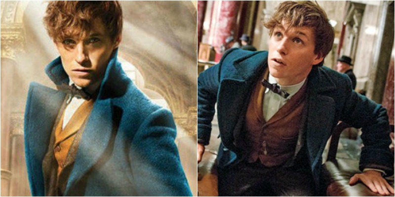 animali fantastici newt scamandro