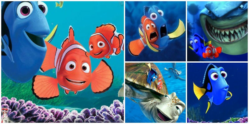 collage dory
