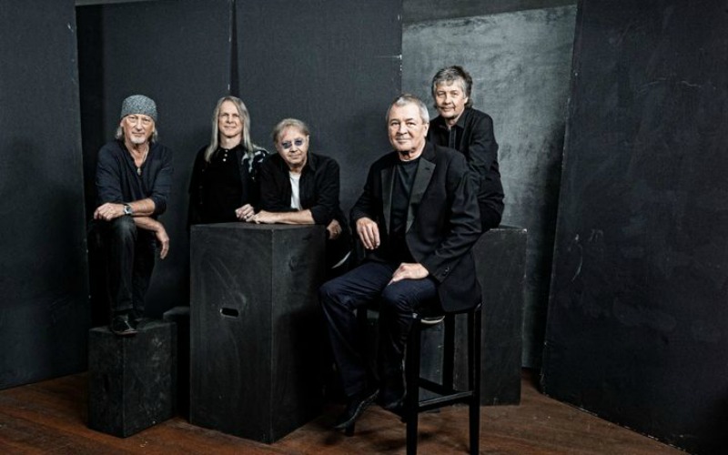deep purple 1