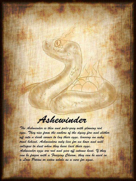gli animali fantastici: dove trovarli? ashwinder