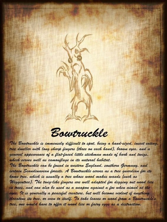 gli animali fantastici: dove trovarli? bowtruckle