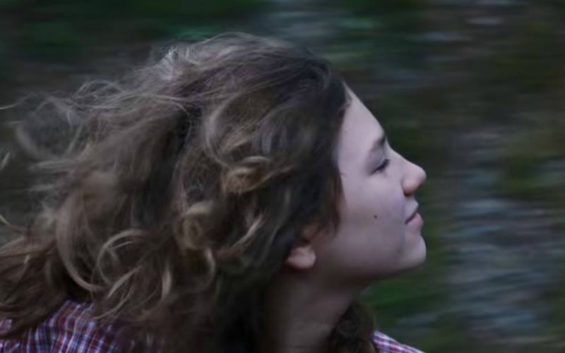 la felicità è un sistema complesso 4
