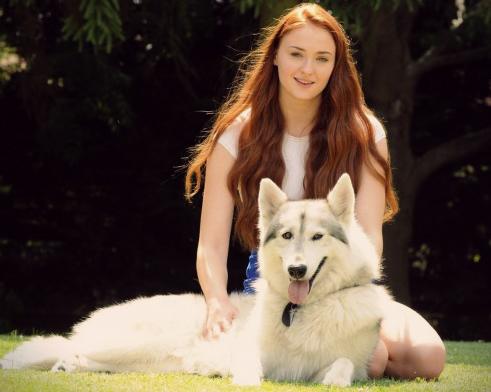 sansa e lady