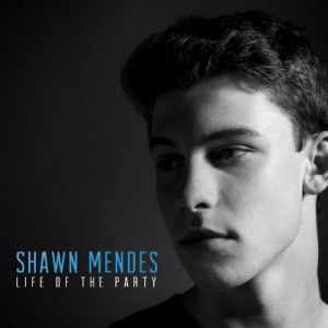 shawn mendes album