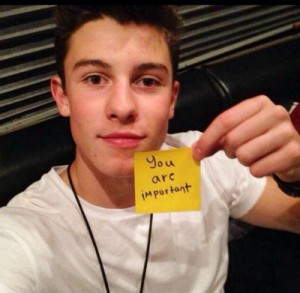 shawn mendes fan