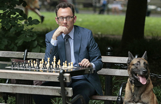 Person of Interest