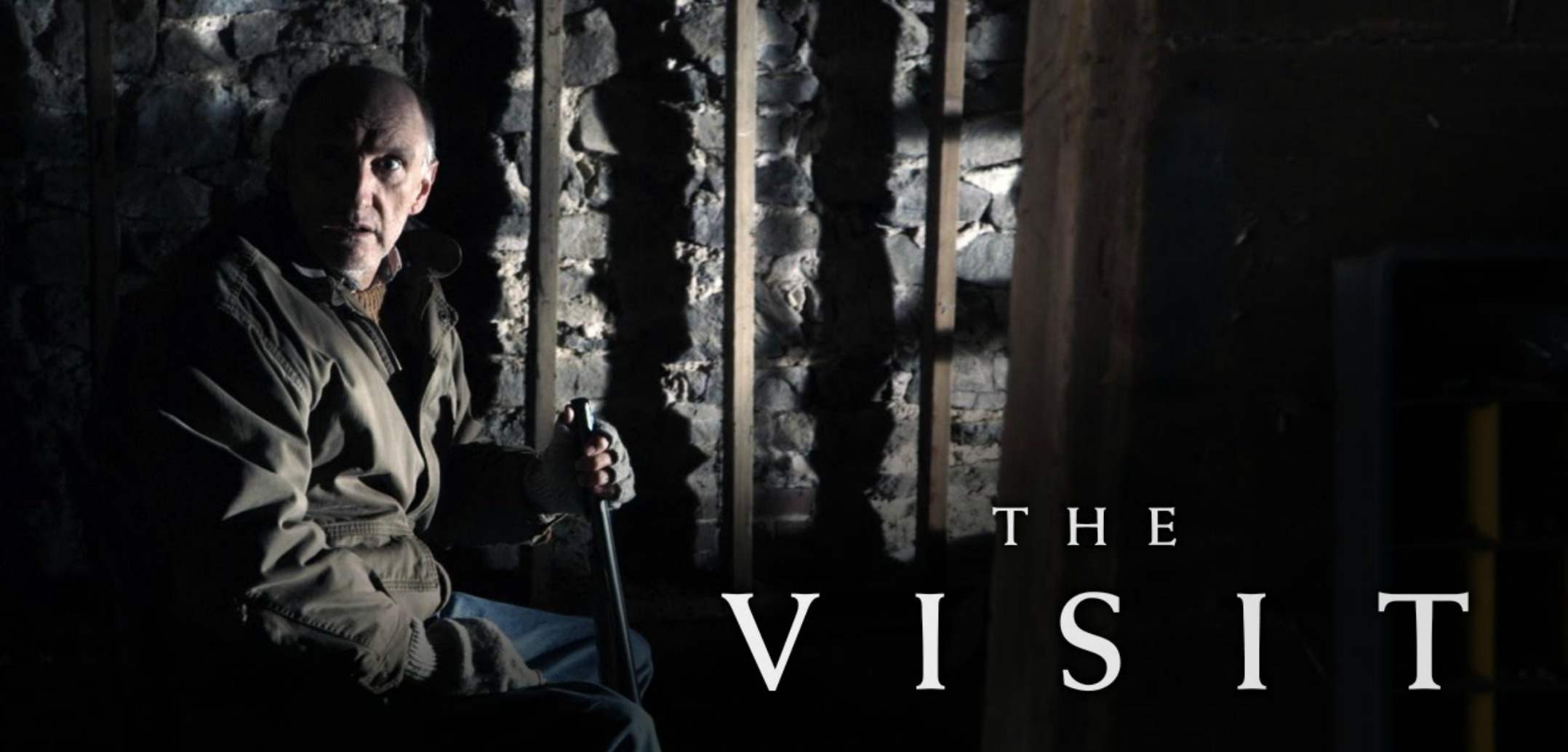 the visit poster